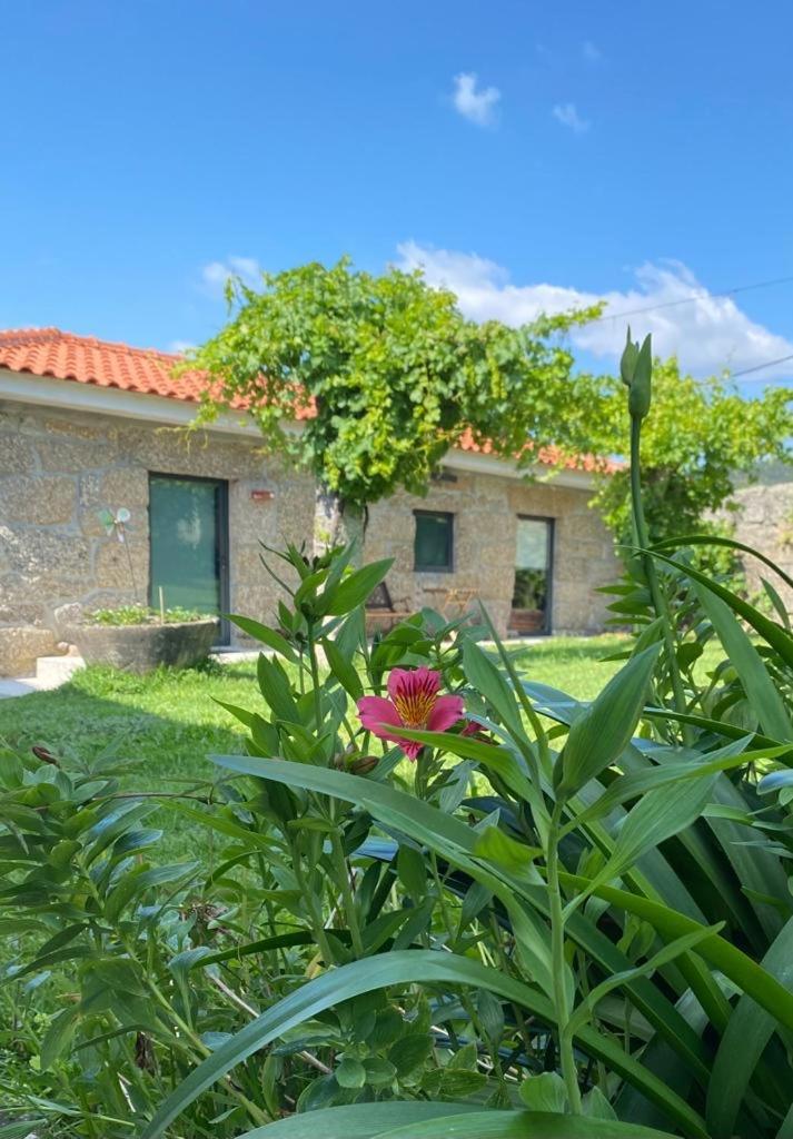 גימראייש Hotel Quinta Da Tulha By Vimahotels מראה חיצוני תמונה
